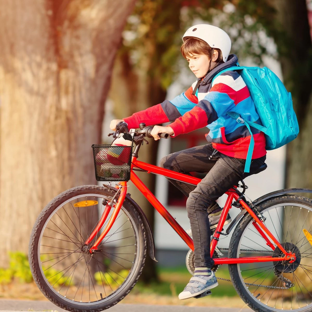 Relaxdays Fietsmand Stuur - Fietsmandje Met Haken - Fiets Mand Voorop - Klein - Metaal - Zwart - Afbeelding 5