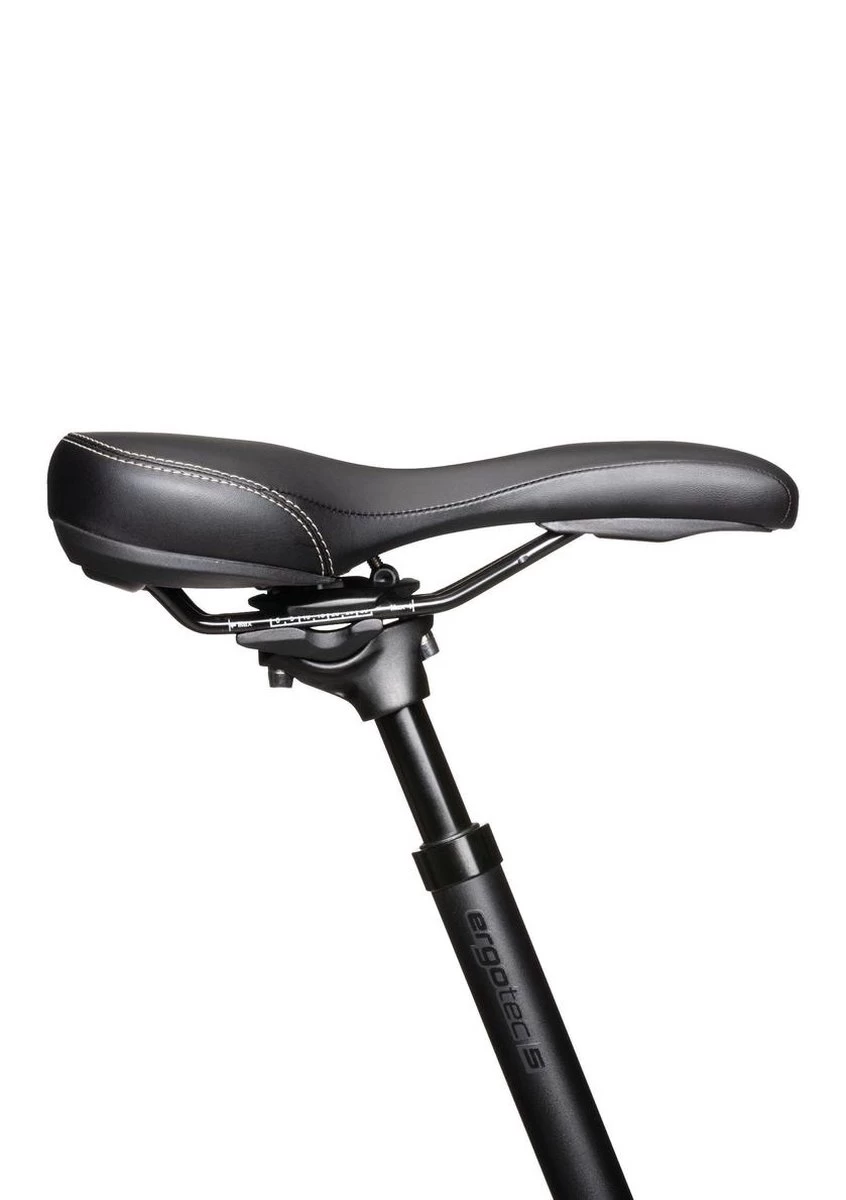 Ergotec Zadelpen Verend SP-10.0 ø27.2mm / 350mm 45/100 -